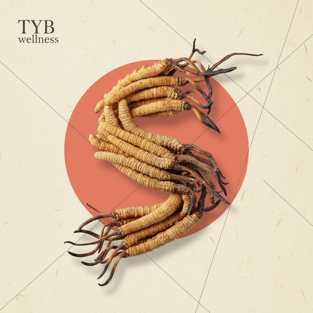 Dried cordyceps mushrooms arranged in an overhead flat lay